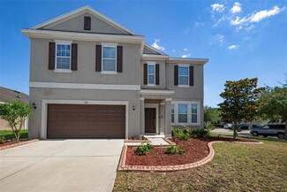 7303 Tangle Pond Way, Gibsonton, FL 33534