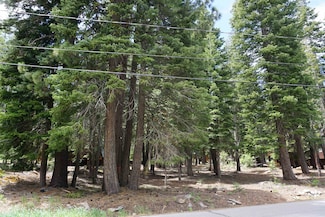 13436 Weisshorn Ave, Truckee, CA 96161