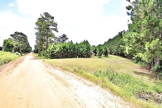 13.89 ac Lumby Smith & Hwy 37, Adel, GA