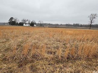 Lot 6 Dove Ln, East Eldorado Township, IL 62930