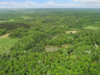 TBD 12 Mile Rd, Big Rapids, MI 49307