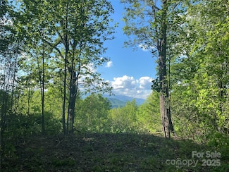 1099 Mitchell View Dr Unit 915/915A, Old Fort, NC 28762