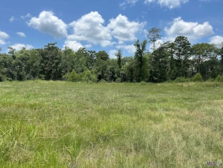 TBD Pintail St, Springfield, LA 70462
