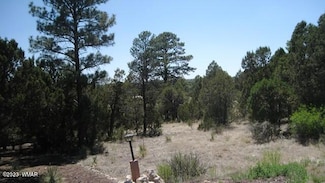 2223 Fairway Dr, Overgaard, AZ 85933