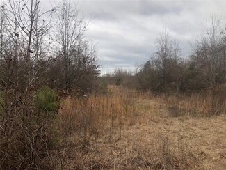 0 Carterville Rd, Plain Dealing, LA 71064