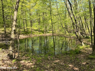 0 County Route 5 & I90 Unit 202517807, Canaan, NY 12060