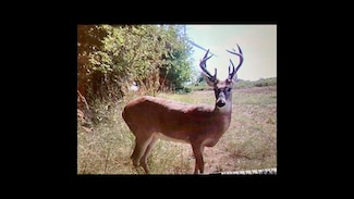 344 County Road 1550, Rush Springs, OK 73082