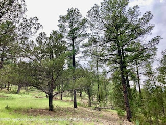 145 Antler Dr, Alto, NM 88312