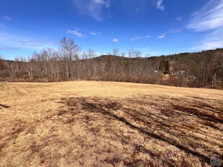 0 County Route 13, New Lebanon, NY 12060