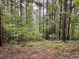 3715 Split Rail Way, Guild, TN 37340
