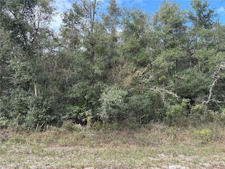 0 Wagers Dr, Webster, FL 33597