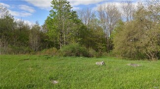 1 Whitman Rd Unit 1, Canastota, NY 13032