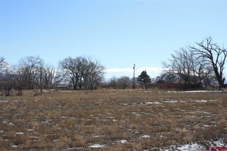 5975 Road, Olathe, CO 81425
