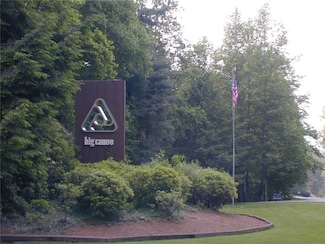 8266 Cox Mountain Dr, Big Canoe, GA 30143