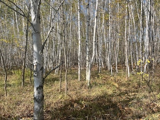 00000 County Highway 61, Mission Creek Township, MN 55037