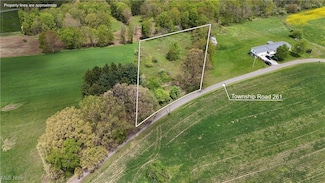 430 Township Road 261, Bergholz, OH 43908