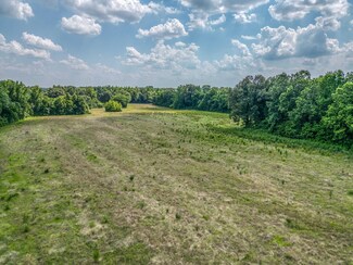 2630 Thorpe Dr, Mason, TN 38049