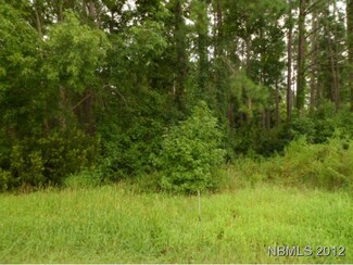 732 Log Cabin Rd, Arapahoe, NC 28510