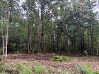 0 Society Rd Unit 24437537, McClellanville, SC 29458