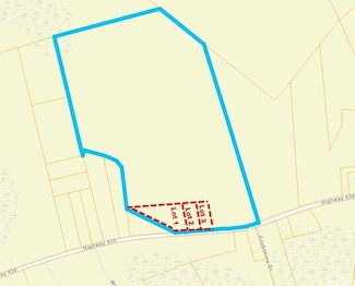 Lot 2 Highway 430, Nichols, SC 29581