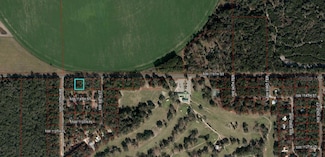 TBD NW 115 St, Chiefland, FL 32626