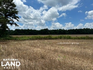 815 Arnette Rd, South of Border, SC 29547