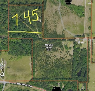 0 Tract 4 Scott Rd, Leesville, LA 71446
