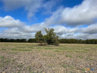TBD Cr 117 Rd, Rogers, TX 76569