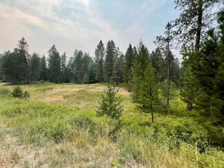 Nhn Wuerl Dr E, Trout Creek, MT 59874