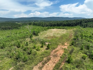 Dry Creek Rd, Piedmont, AL 36272