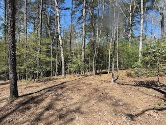 Lot 2 Lynae Ln, Murphy, NC 28906