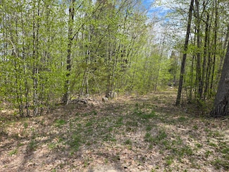 Lot# 26 W Summit Rd, Woodstock, ME 04219