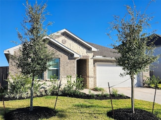 2506 Good Morrow Dr, Rosenberg, TX 77471