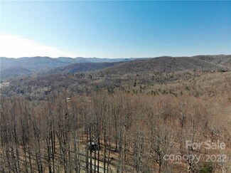 00 McAlpine Mountain Rd, Zirconia, NC 28790