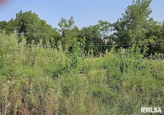 Lot 100 Brittany Ct, Metamora, IL 61548