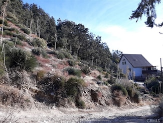 0 N End Dr Unit SR24233572, Frazier Park, CA 93225
