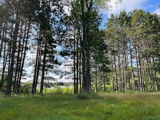Tract 1 Lake Breeze Ln NE, Longville, MN 56655