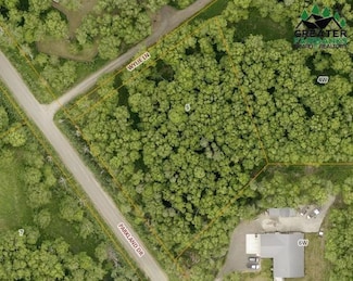 NHN Wylie Ln, Steele Creek, AK 99712