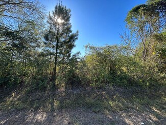 2 Willie Varnum Rd, Dothan, AL 36301