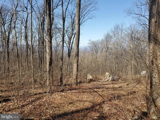 Lot 218 Blue Mountain Rd, Riverton, VA 22630