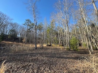 6.74 AC Doxol St, Blue Ridge, GA 30513