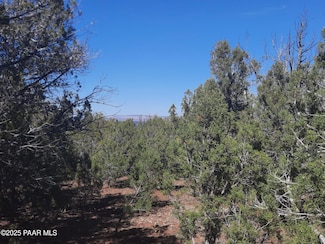 Lot 602a N Edge Ridge Rd, Seligman, AZ 86337