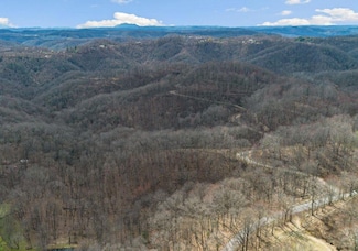 1 Reynolds Ridge Rd, Bandy, VA 24602