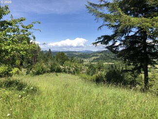 0 Lampa Ln, Myrtle Point, OR 97458