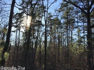 0 SE Pt Hill Unit 17036246, Murfreesboro, AR 71958