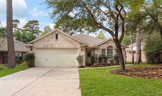 99 E Foxbriar Forest Cir, Spring, TX 77382