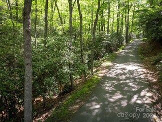 151 Camp Branch Rd, Black Mountain, NC 28711