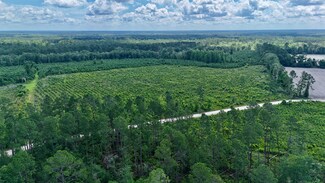 0 Bennett Mill Pond Rd, Odum, GA 31555