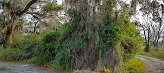 63 N Sheltering Oaks Dr, Inverness, FL 34453
