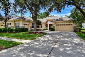 5929 Cherry Oak Dr, Valrico, FL 33596